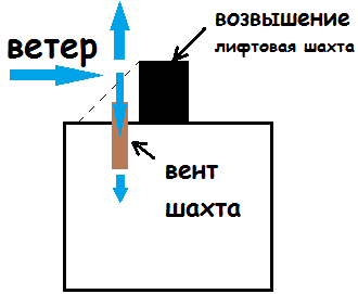 грибок на стенах