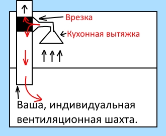 грибок на стенах